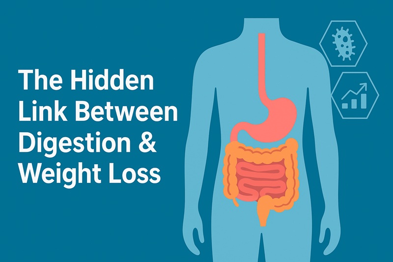 Weight Less Link Example The Hidden Link Between Digestion & Weight Loss: How Gut Efficiency ...